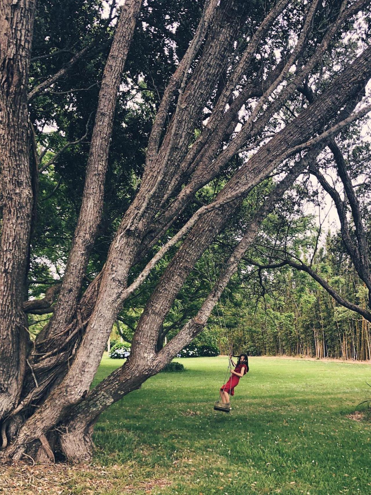 Apple Cider Lodge Omaha Luaran gambar